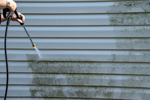 Siding Removal and Disposal in Jonesville, LA